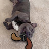 Durable Dog Toy with Squeaker, 3 Layer Tough Chew Toy, Reinforced Fabric Frisbee, Interactive Dog Gift 10.5in