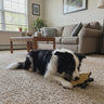 Durable Platypus Dog Toy with Squeaker, 3 Layer Tough Canvas Chew Toy, Reinforced Interactive Dog Gift 11.5in