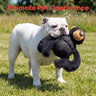 Selly's Den Gorilla & Duck Plush Dog Toy Set, Squeaky Stuffed Animal Toys for Puppies, Interactive Soft Chew and Fetch Toys (Black Gorilla)